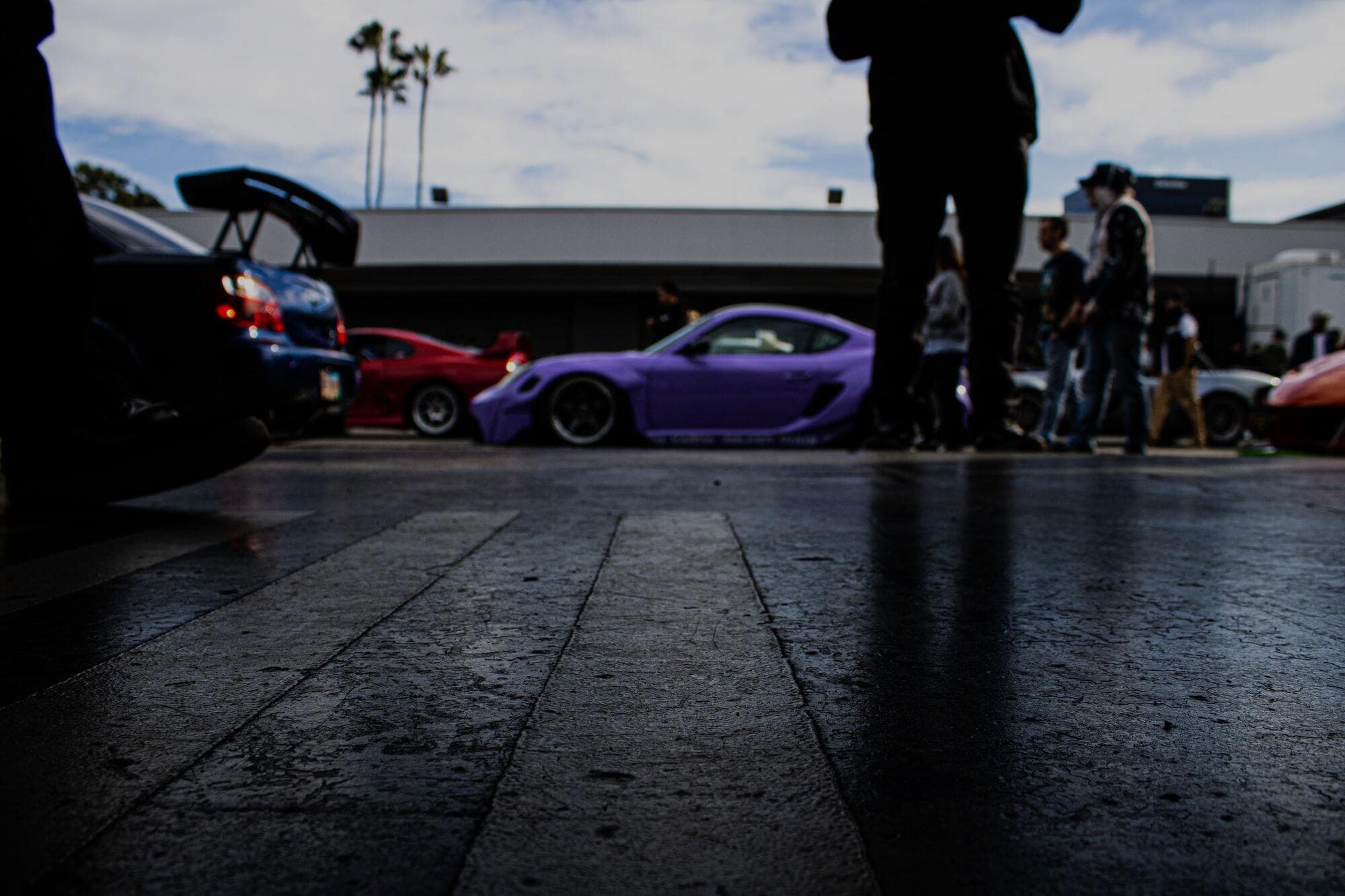 Contact Palmetto Auto Club